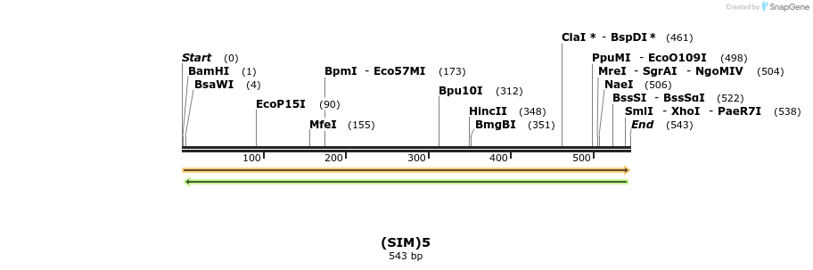 242938_map