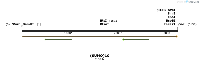 242940_map