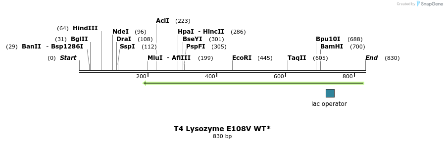 24295_map