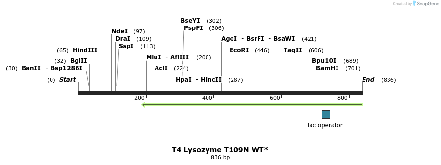 24296_map