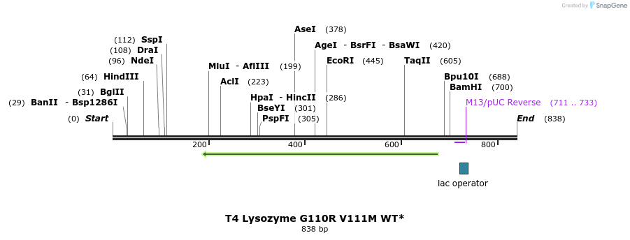 24297_map