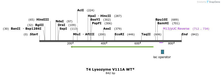24298_map