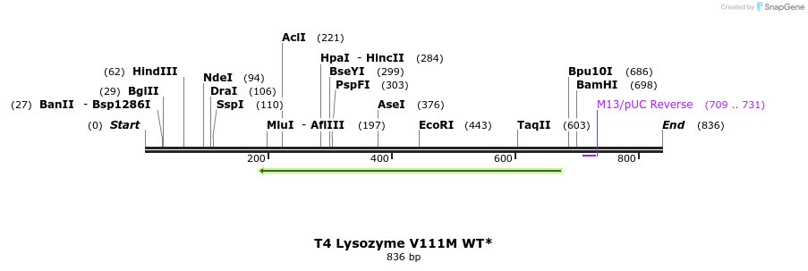 24299_map