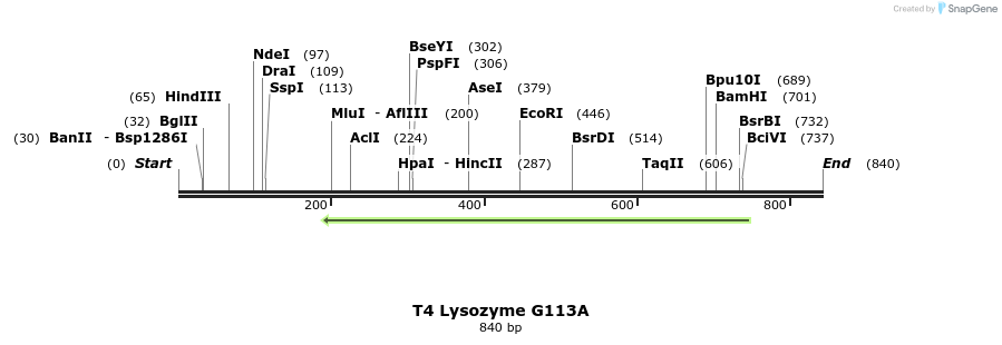 24301_map