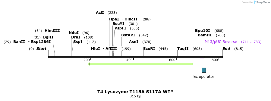 24306_map