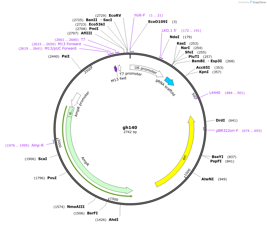 243061_map