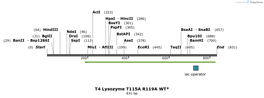 24307_map