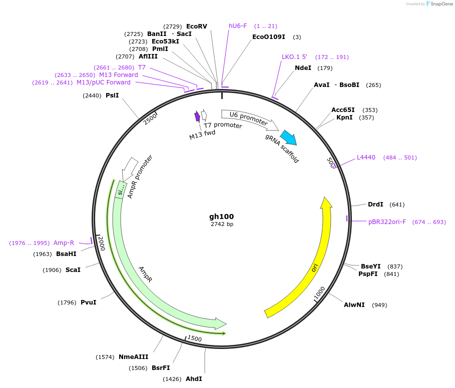 243071_map