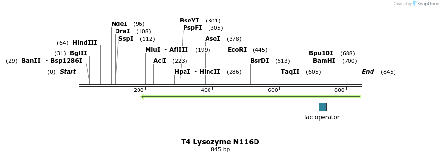 24309_map