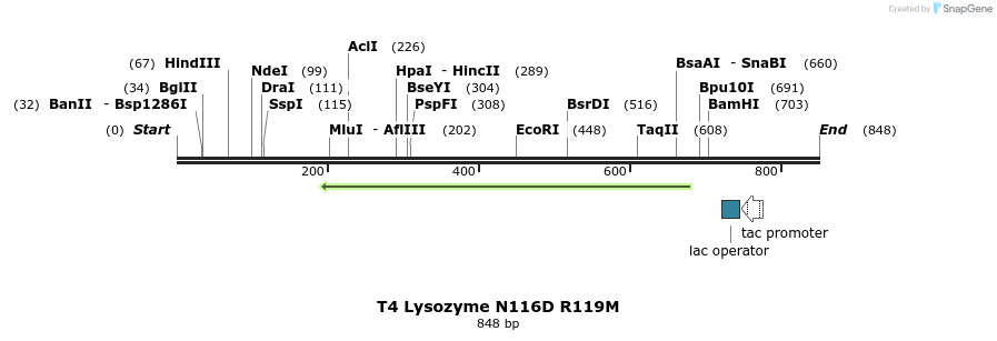 24310_map