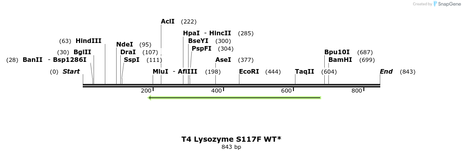 24311_map