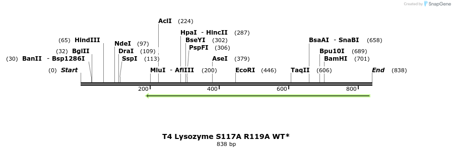 24312_map