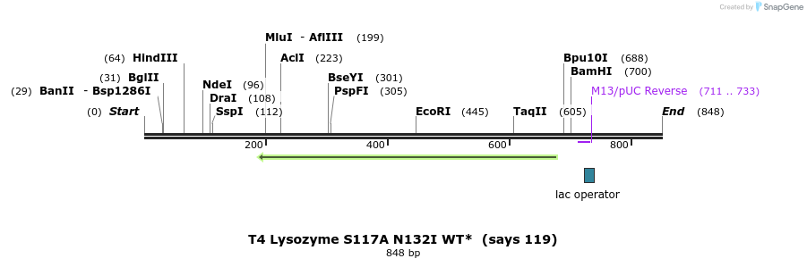 24313_map