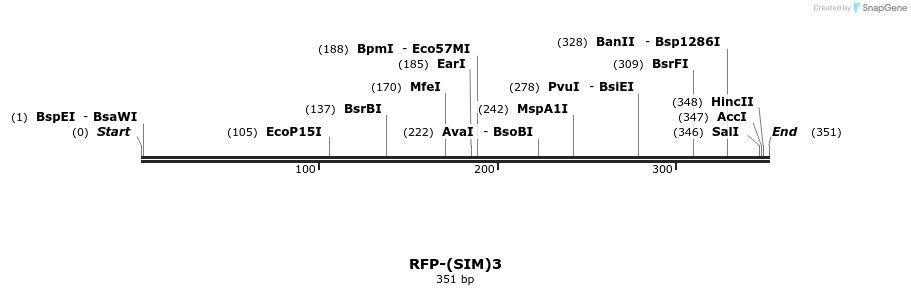 243139_map