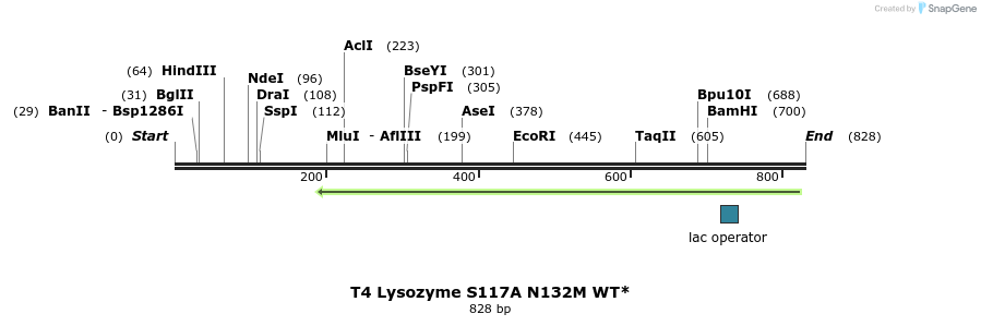24314_map