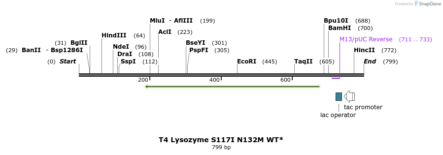 24317_map