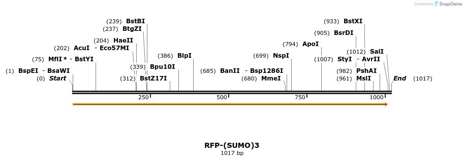 243172_map