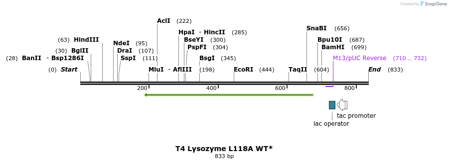 24319_map