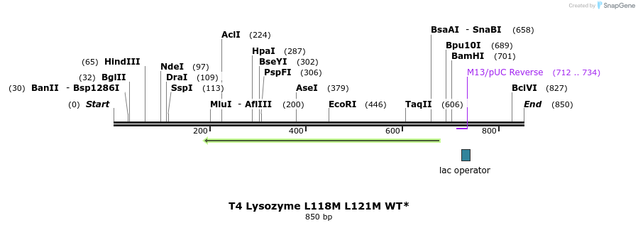 24321_map