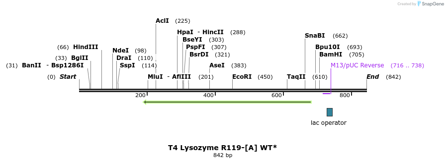 24322_map