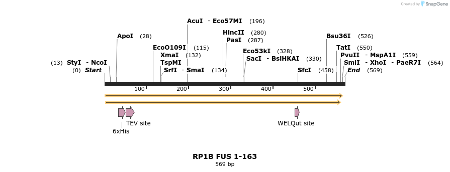 243228_map