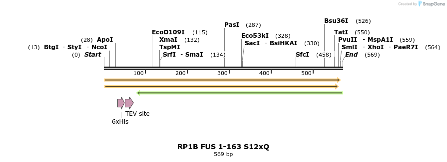 243229_map