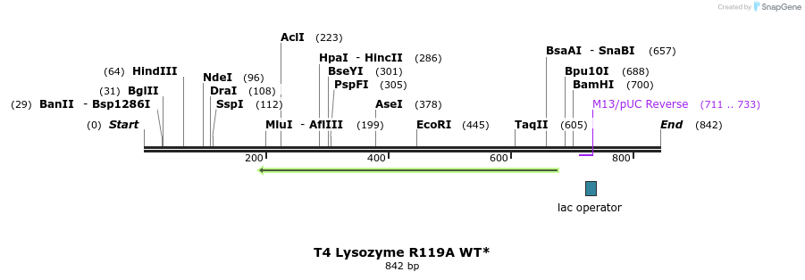 24323_map