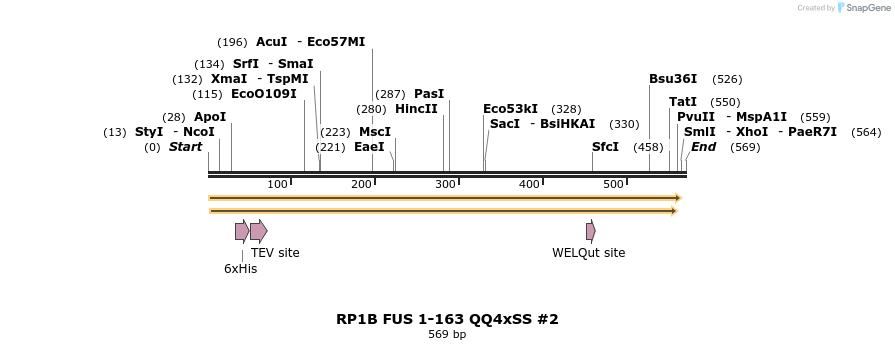 243232_map