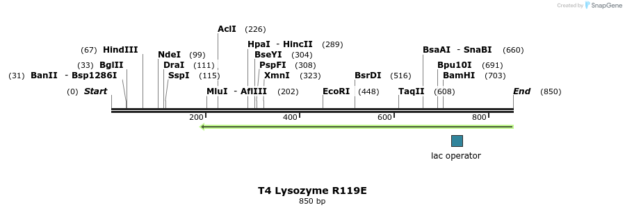 24325_map