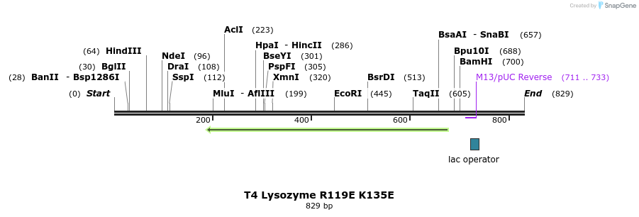 24326_map