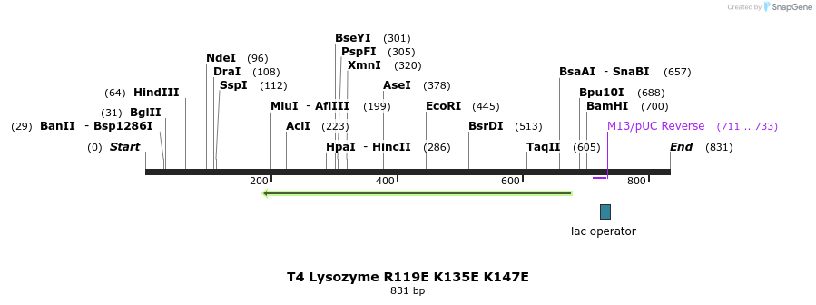 24327_map