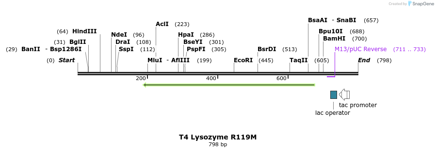 24329_map