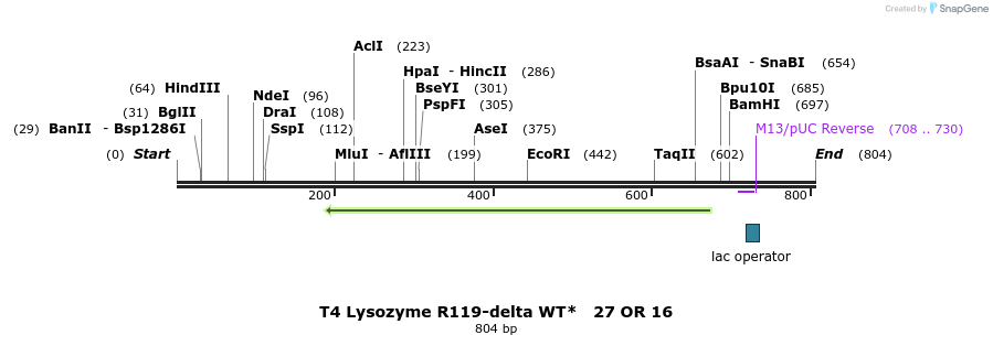 24330_map