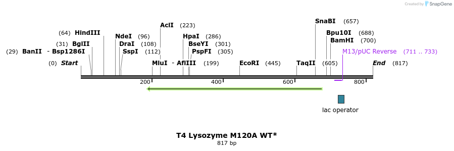 24331_map