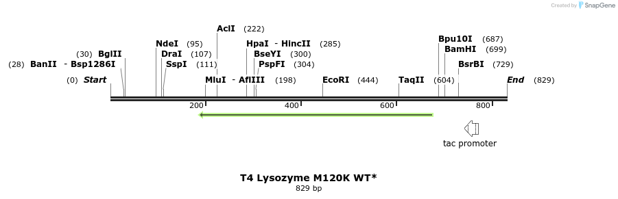 24332_map