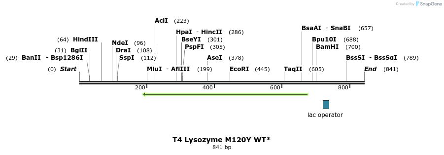 24334_map