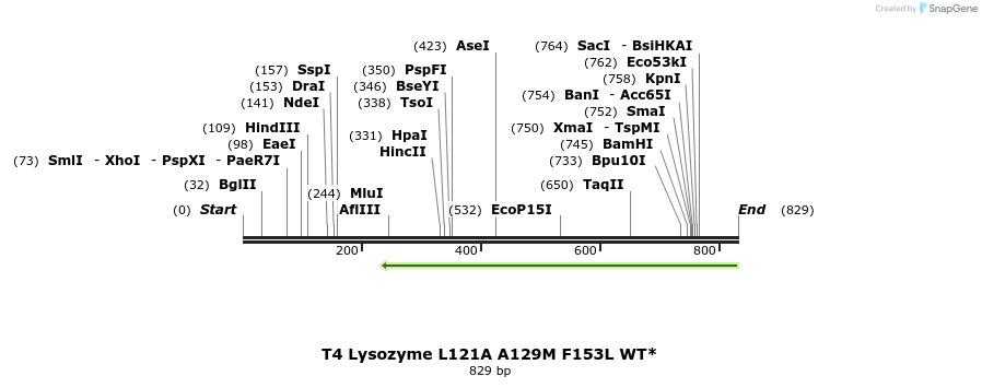 24336_map