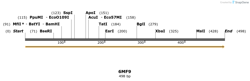 243360_map