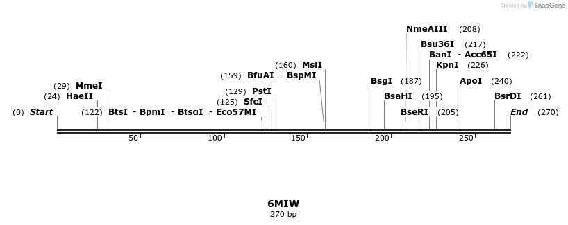 243361_map