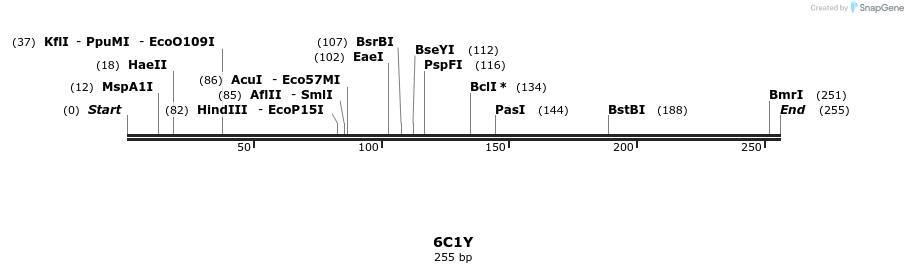 243362_map