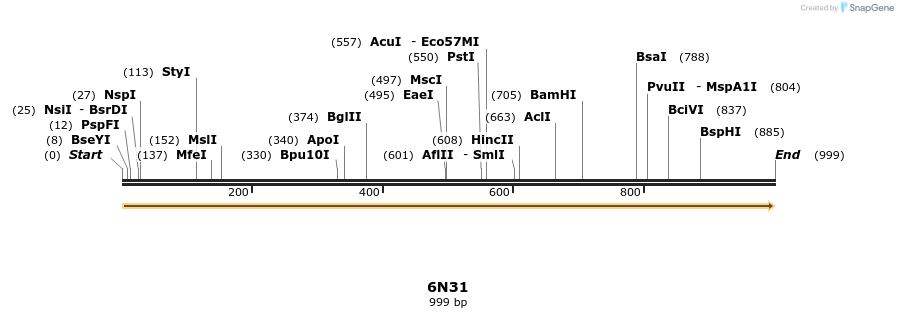 243363_map