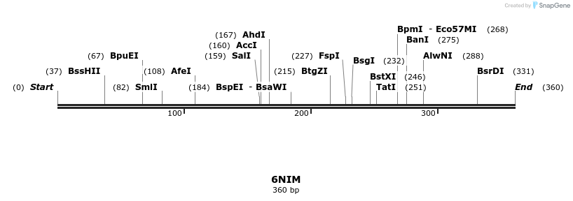 243364_map