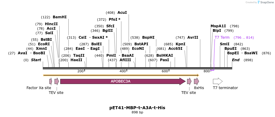 243370_map