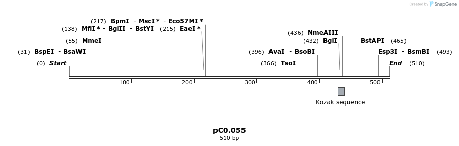 243403_map