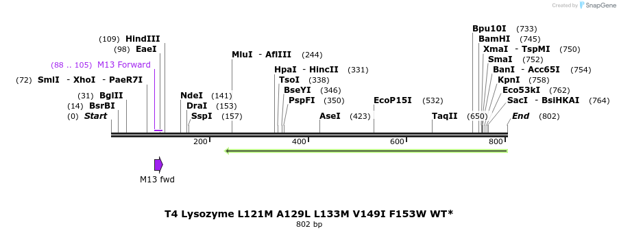 24342_map