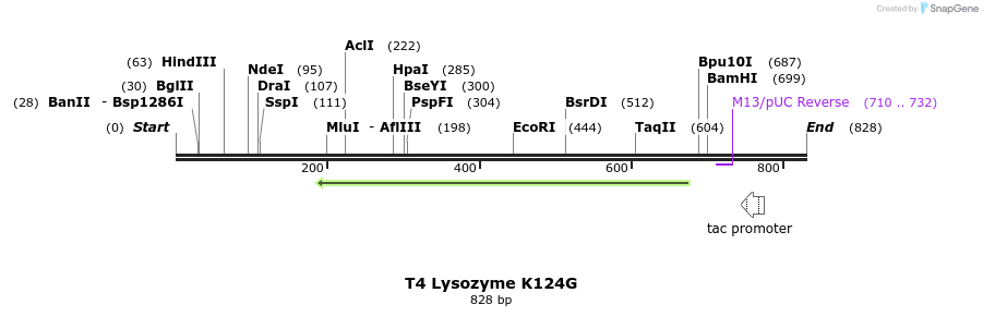 24344_map