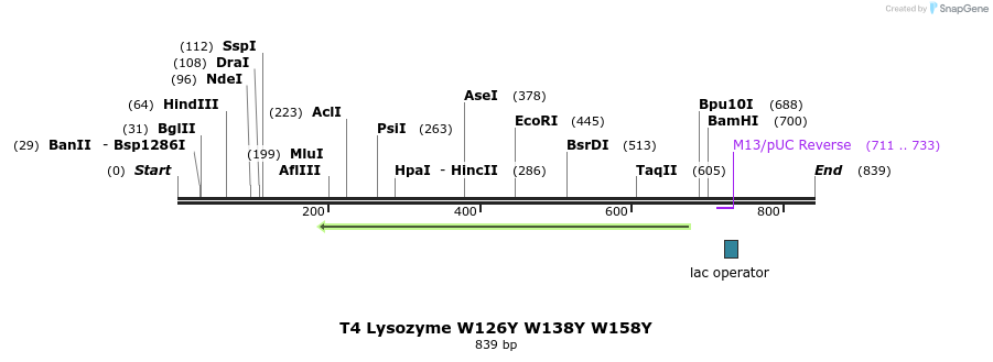 24345_map