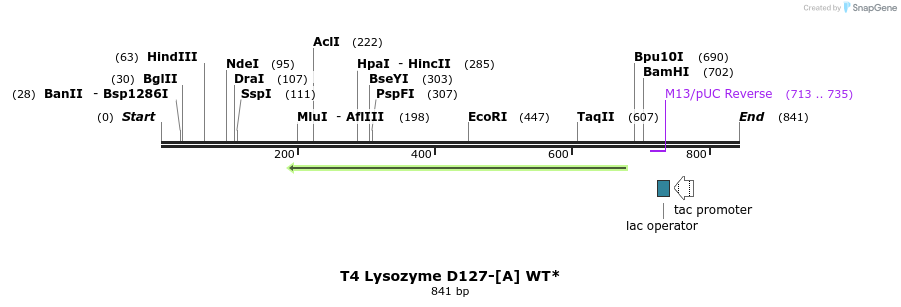 24346_map