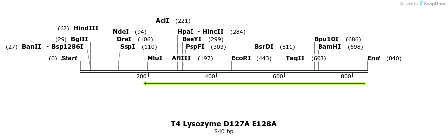 24347_map