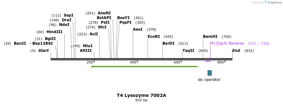 24348_map
